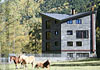 Apartamentos Prat De Les Mines