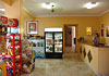 Aparthotel Neptuno + Oferta 7x5