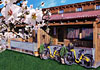 Bungalows Spa Natura Resort