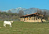 Casa Rural Las Cabañas De La Vera