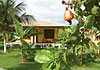 Eurosol Tibau Pipa Resort
