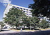 Hotel Ava