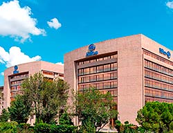 Hotel Hilton Madrid Airport