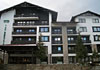 Hotel Lion