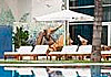 Hotel Oasis Gandia Palace