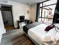 Hotel Petit Palace Mayor