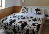 Hotel Pitiusa