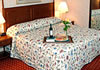 Hotel Ramada Plaza Jfk Airport