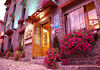 Hotel Roya
