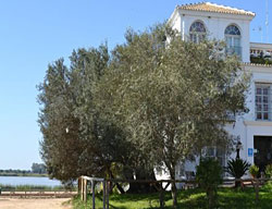Hotel Toruño