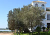 Hotel Toruño