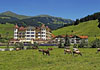 Hotel Traumhotel Alpina