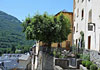 Hotel Vicente
