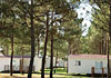 Aparthotel Arias